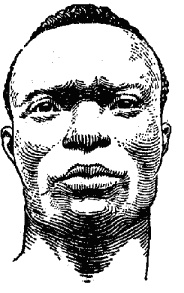 Мужские хитрости и женские уловки. Лучший справочник по распознаванию лжи! Книга-тренажер Мужские хитрости и женские уловки. Лучший справочник по распознаванию лжи! Книга-тренажер