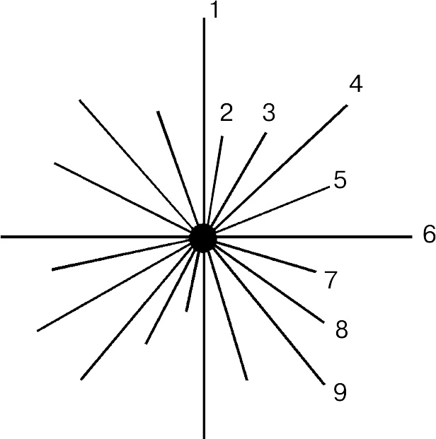 Разумный мир. Как жить без лишних переживаний Разумный мир. Как жить без лишних переживаний