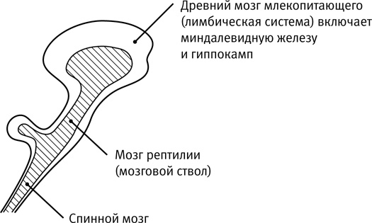 Легкий способ начать новую жизнь. Как избавиться от стресса, внутренних конфликтов и вредных привычек Легкий способ начать новую жизнь. Как избавиться от стресса, внутренних конфликтов и вредных привычек