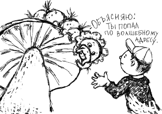 Великое путешествие через шкаф и обратно Великое путешествие через шкаф и обратно