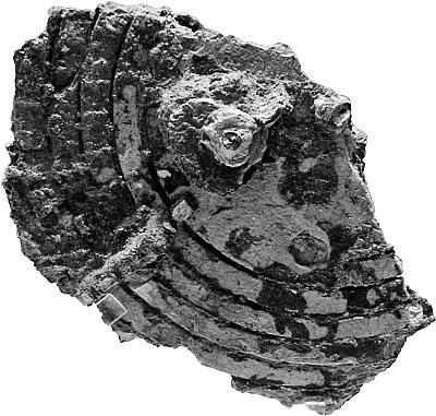 Великие тайны Вселенной. От древних цивилизаций до наших дней Великие тайны Вселенной. От древних цивилизаций до наших дней