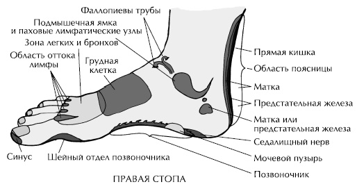 Йога и сексуальные практики Йога и сексуальные практики