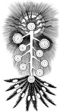 Йога и сексуальные практики Йога и сексуальные практики
