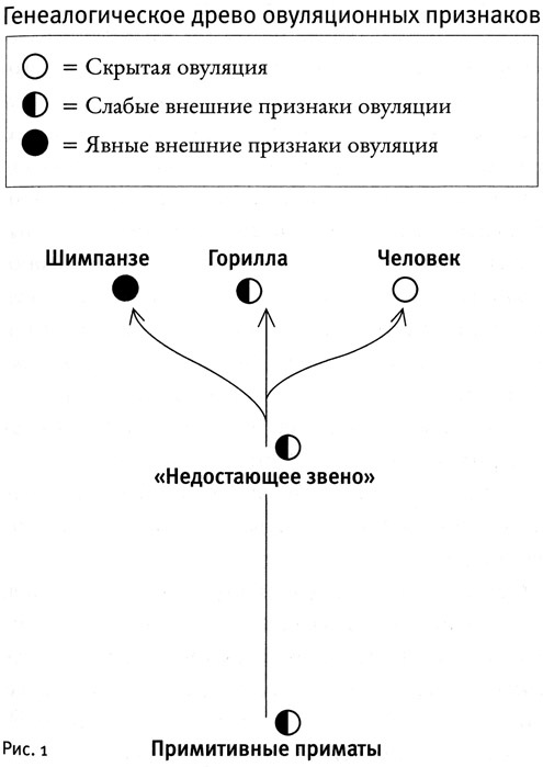 Почему нам так нравится секс Почему нам так нравится секс