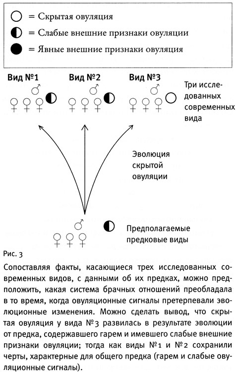 Почему нам так нравится секс Почему нам так нравится секс
