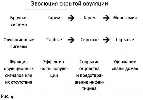 Почему нам так нравится секс Почему нам так нравится секс