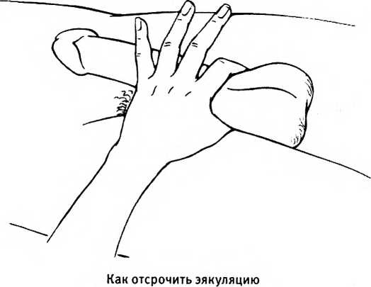 Любовь и секс. Как мы ими занимаемся Любовь и секс. Как мы ими занимаемся