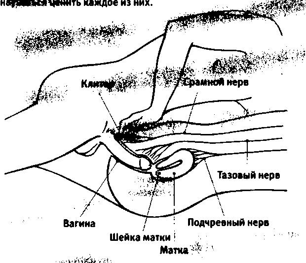 Любовь и секс. Как мы ими занимаемся Любовь и секс. Как мы ими занимаемся