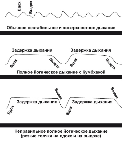Йога и аюрведа в 10 простых уроках Йога и аюрведа в 10 простых уроках