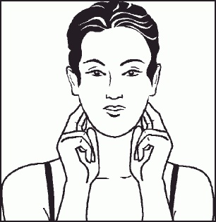Настольная книга гейши Настольная книга гейши