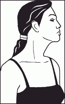 Настольная книга гейши Настольная книга гейши