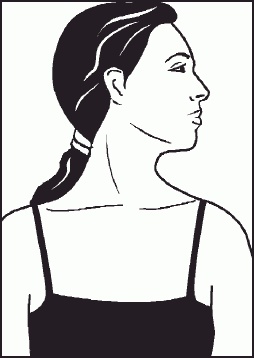 Настольная книга гейши Настольная книга гейши