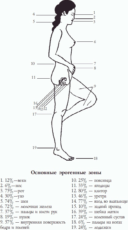 Настольная книга гейши Настольная книга гейши