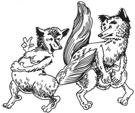 Странности животной сексуальности. Как они делают это...?