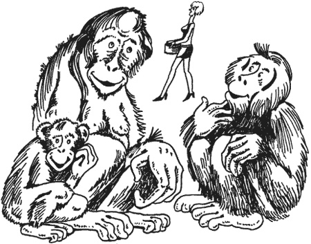 Странности животной сексуальности. Как они делают это...?