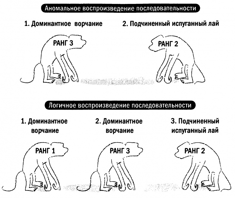 Мораль и разум. Как природа создавала наше универсальное чувство добра и зла Мораль и разум. Как природа создавала наше универсальное чувство добра и зла