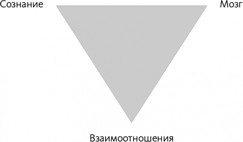 Майндсайт. Новая наука личной трансформации Майндсайт. Новая наука личной трансформации