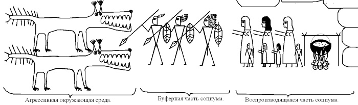 Женщина. Учебник для мужчин Женщина. Учебник для мужчин