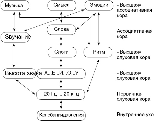Антимозг. Цифровые технологии и мозг Антимозг. Цифровые технологии и мозг