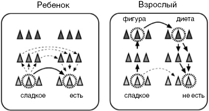 Антимозг. Цифровые технологии и мозг Антимозг. Цифровые технологии и мозг