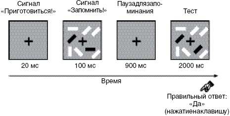 Антимозг. Цифровые технологии и мозг Антимозг. Цифровые технологии и мозг