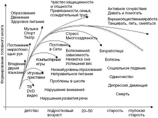 Антимозг. Цифровые технологии и мозг Антимозг. Цифровые технологии и мозг