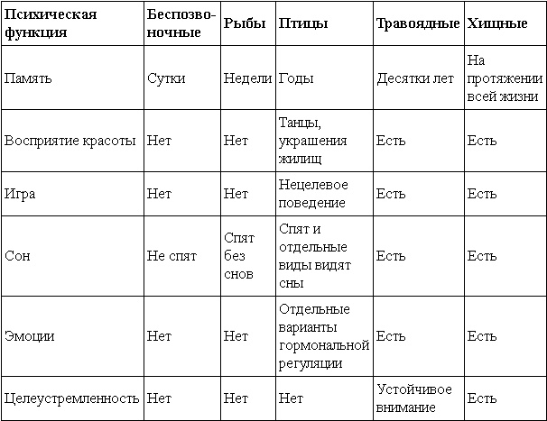 Интеллектика. Как работает ваш мозг Интеллектика. Как работает ваш мозг