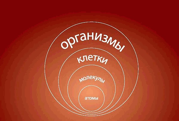 Интегральное видение. Краткое введение в революционный интегральный подход к жизни, Богу, вселенной и всему остальному Интегральное видение. Краткое введение в революционный интегральный подход к жизни, Богу, вселенной и всему остальному