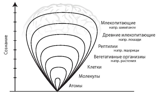 Интегральное видение. Краткое введение в революционный интегральный подход к жизни, Богу, вселенной и всему остальному Интегральное видение. Краткое введение в революционный интегральный подход к жизни, Богу, вселенной и всему остальному