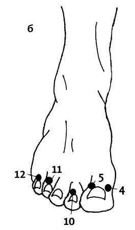 Большой атлас целительных точек. 200 упражнений для здоровья и долголетия Большой атлас целительных точек. 200 упражнений для здоровья и долголетия