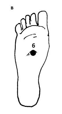 Большой атлас целительных точек. 200 упражнений для здоровья и долголетия Большой атлас целительных точек. 200 упражнений для здоровья и долголетия