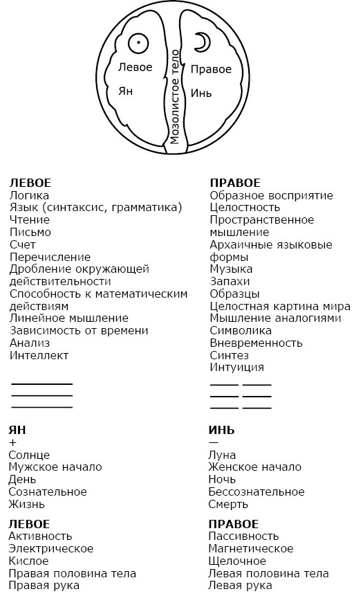От болезни тела - к исцелению души. Почему мы болеем? От болезни тела - к исцелению души. Почему мы болеем?