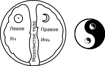 От болезни тела - к исцелению души. Почему мы болеем? От болезни тела - к исцелению души. Почему мы болеем?