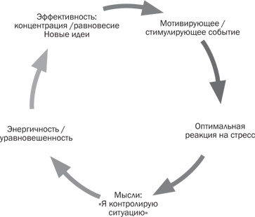 Стрессоустойчивость. Как сохранять спокойствие и эффективность в любых ситуациях Стрессоустойчивость. Как сохранять спокойствие и эффективность в любых ситуациях