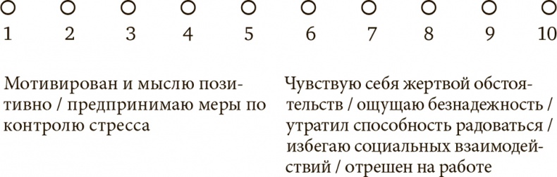 Стрессоустойчивость. Как сохранять спокойствие и эффективность в любых ситуациях Стрессоустойчивость. Как сохранять спокойствие и эффективность в любых ситуациях