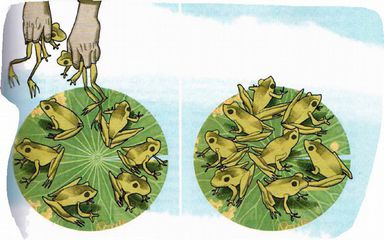 Магия реальности. Как мы узнаем истину Магия реальности. Как мы узнаем истину