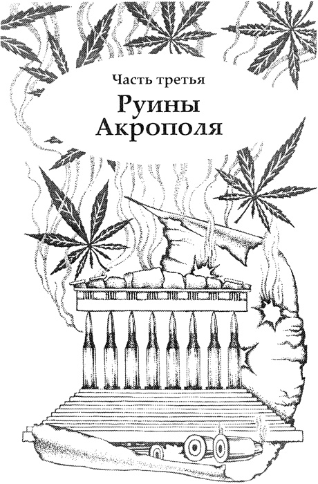 Секрет ассасинов Секрет ассасинов