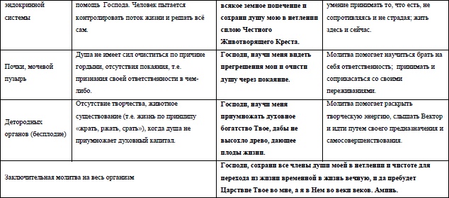 Жизнь на грани взлета, или Как перестать пережевывать и начать жить Жизнь на грани взлета, или Как перестать пережевывать и начать жить