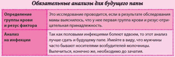 Беременность и роды - обыкновенное чудо. Первая книга будущей мамы Беременность и роды - обыкновенное чудо. Первая книга будущей мамы