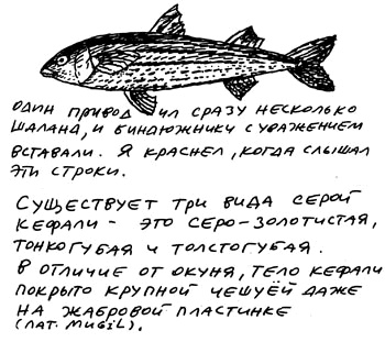 Заметки пассажира. 24 вагона с комментариями и рисунками автора Заметки пассажира. 24 вагона с комментариями и рисунками автора