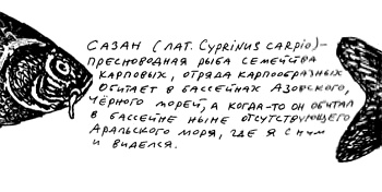 Заметки пассажира. 24 вагона с комментариями и рисунками автора Заметки пассажира. 24 вагона с комментариями и рисунками автора