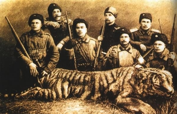Тигр. История мести и спасения Тигр. История мести и спасения