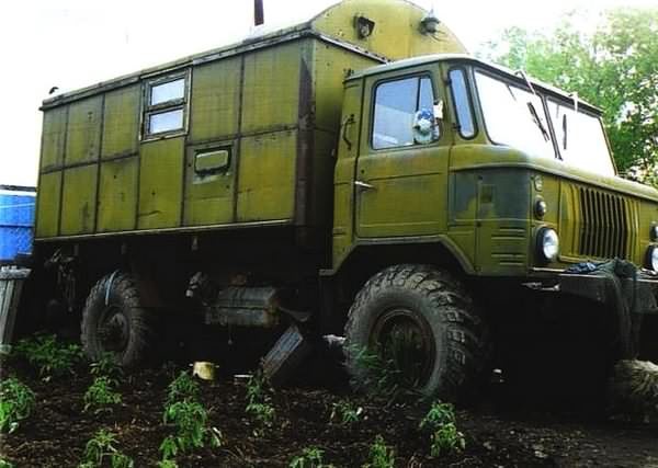 Тигр. История мести и спасения Тигр. История мести и спасения