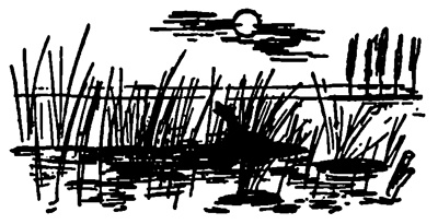 Малый мир. Дон Камилло Малый мир. Дон Камилло