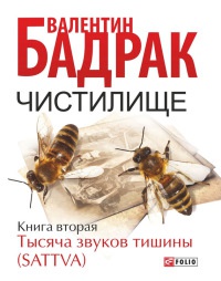 Чистилище. Книга 2. Тысяча звуков тишины (Sattva) - Валентин Бадрак - Читать книги онлайн | Слушать аудиокниги онлайн | Электронная библиотека books-lib.com