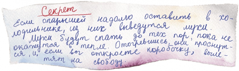 Большая маленькая девочка. История восьмая. Дело о клетчатой сумке Большая маленькая девочка. История восьмая. Дело о клетчатой сумке