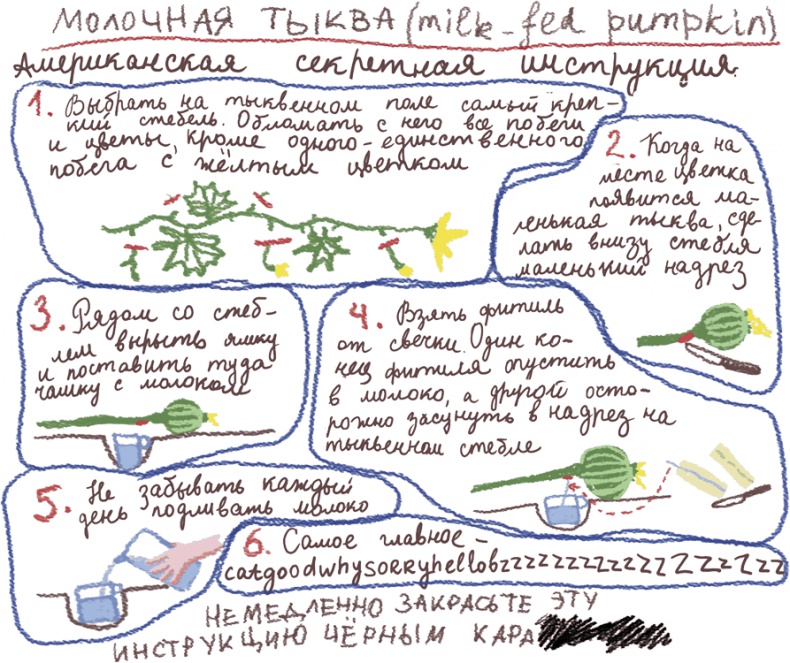 Большая маленькая девочка. История шестая. Тыквандо Большая маленькая девочка. История шестая. Тыквандо