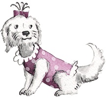 Большая маленькая девочка. История третья. Вышел зайчик погулять Большая маленькая девочка. История третья. Вышел зайчик погулять