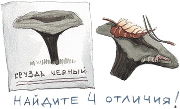 Большая маленькая девочка. История пятая. Сто один способ заблудиться в лесу Большая маленькая девочка. История пятая. Сто один способ заблудиться в лесу