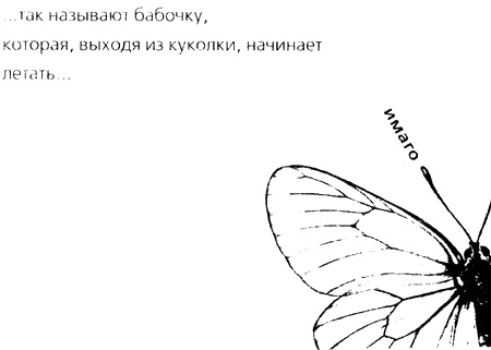 Когда я стану кошкой. Ева вне рая и ада Когда я стану кошкой. Ева вне рая и ада